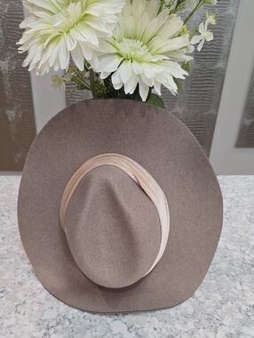 San Diego Hat Company Taupe Wide-Brim Felt Fedora with Light Contrast Band
